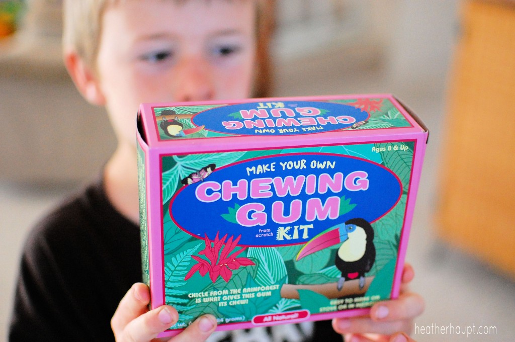 Make your Own Bubble Gum!