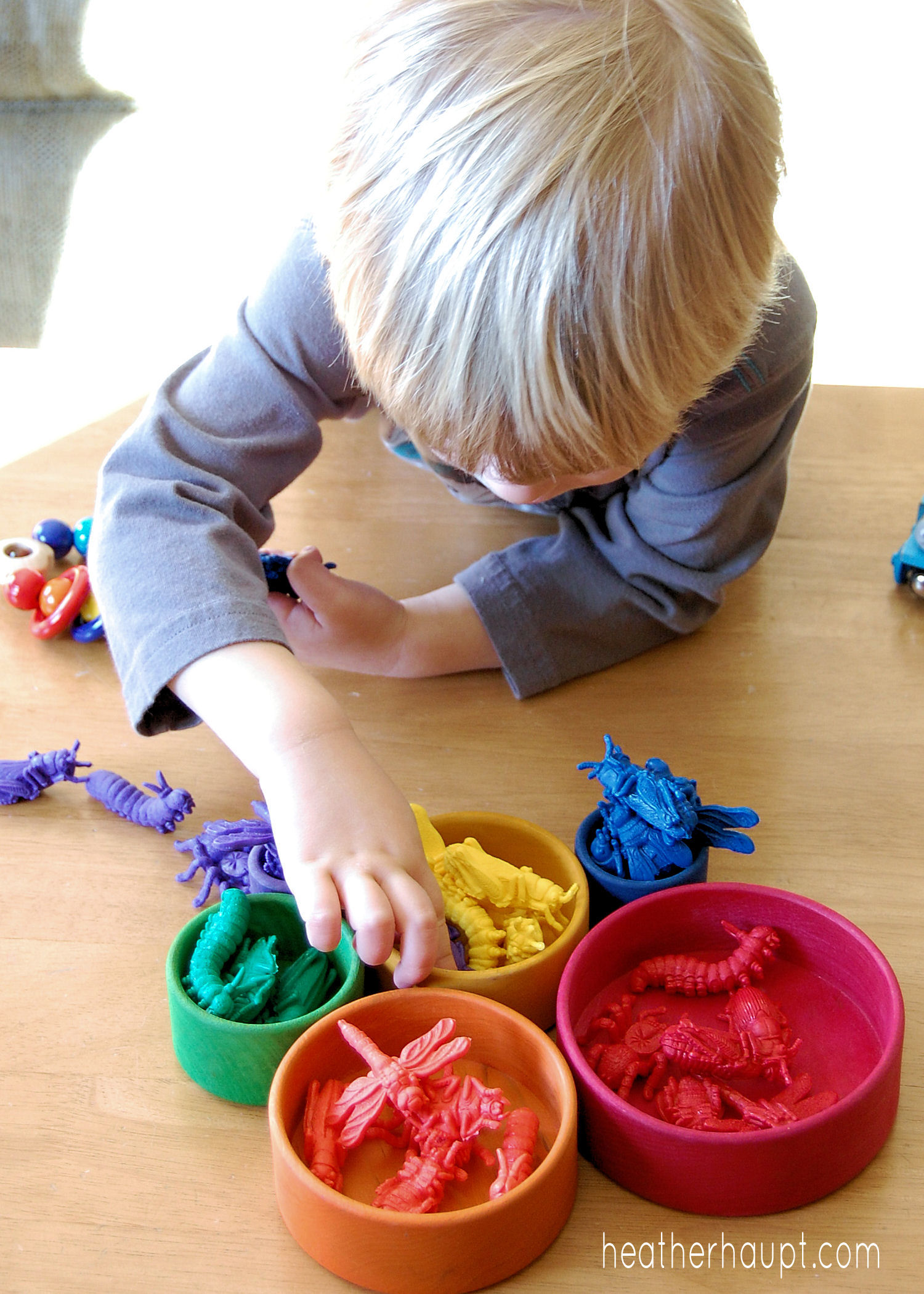 Beautiful wooden bowls and colored bugs are the perfect combo for developing important preschool skills.