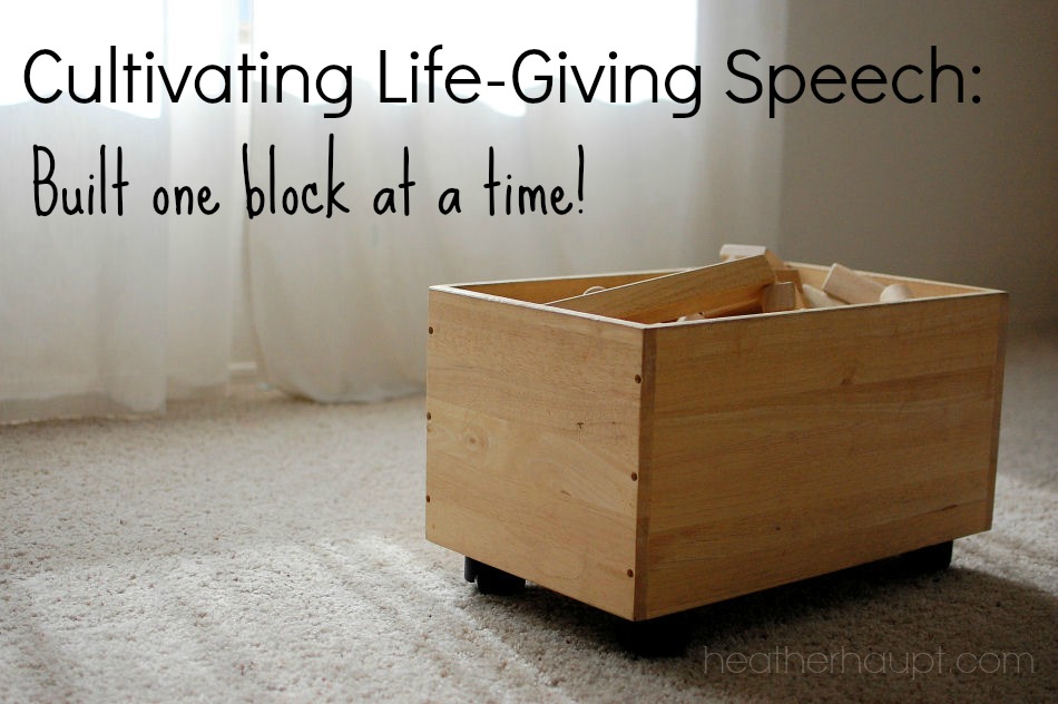Cultivating life-giving speech is so important and a daily occurrence - like building a tower one block at a time... A review of a new family devotional: Learning to Speak Life