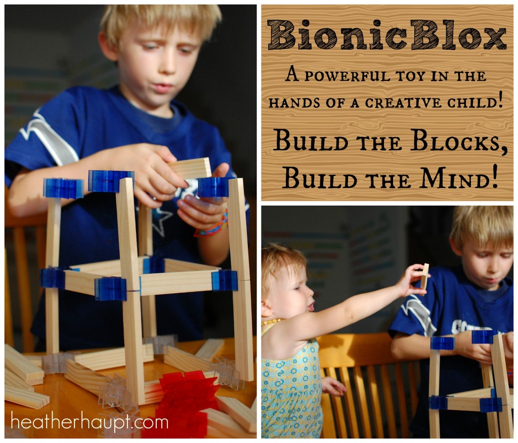 BionicBlox - Encouraging the architect, engineer and builder within!
