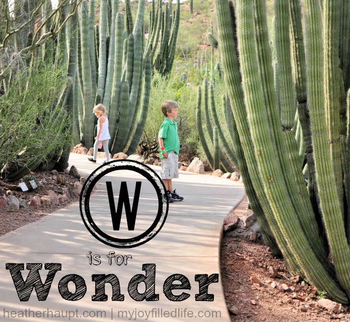 W is for Wonder | The ABC's of Homeschooling
