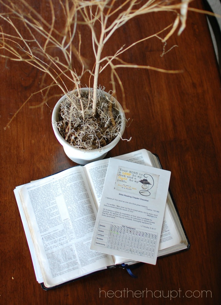 Free Printable for a Family Bible Reading Plan!