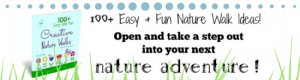 100+ Easy and Fun Nature Walk Ideas book