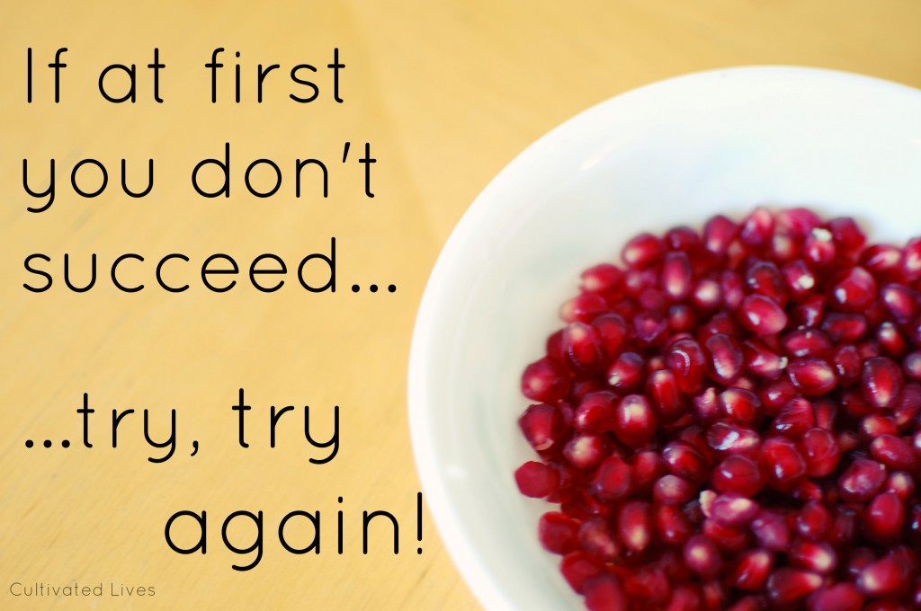 When introducing our children to new foods it is good to remember: If at first you don't succeed, try, try again!