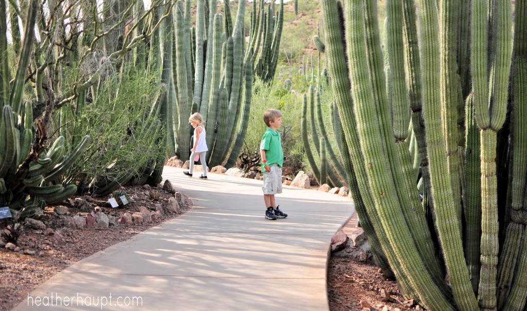 Exploring and learning together in nature