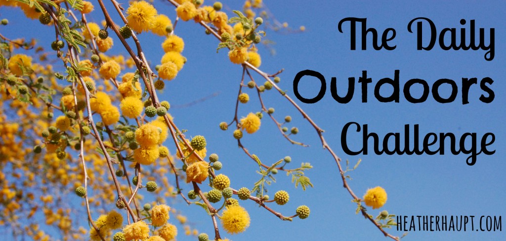 The Daily Outdoor Challenge! A Weekly link-up to share outdoor adventures and nature study ideas!