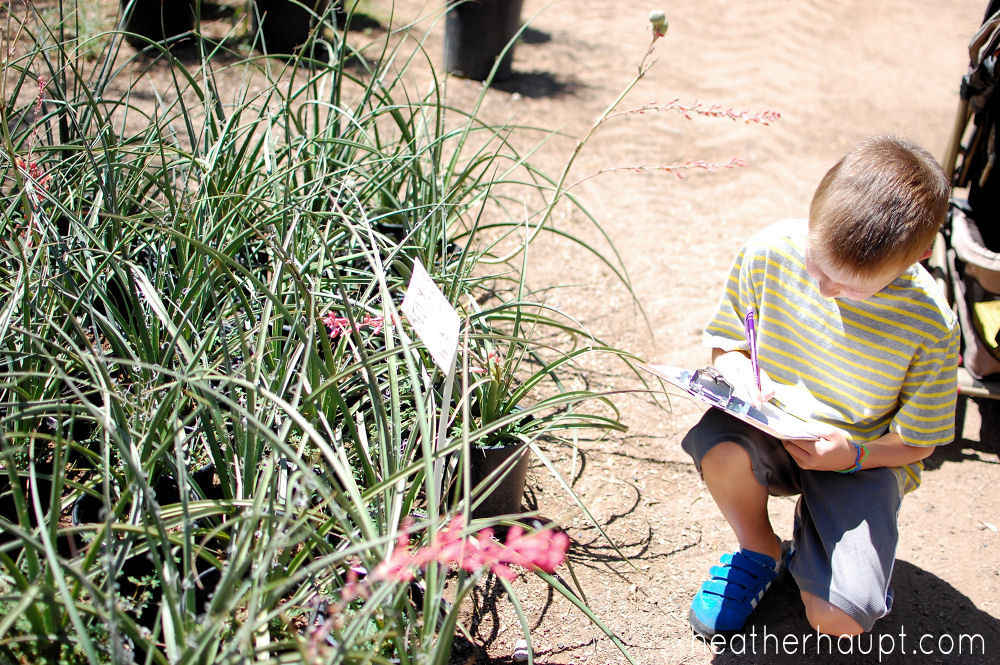 Taking a field trip to a local nursery for 'nature study' for a 'nature mapping the neighborhood' challenge!