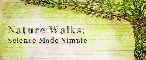 Nature Walks: Science Made Simple < Notes and Resources from Heather Haupt's workshop