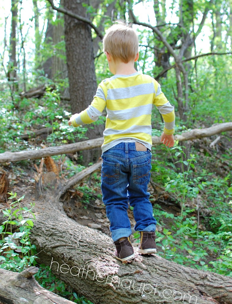 Fresh inspiration for nature walks >> and open-and-walk-out-the-door resource! #NatureWalks