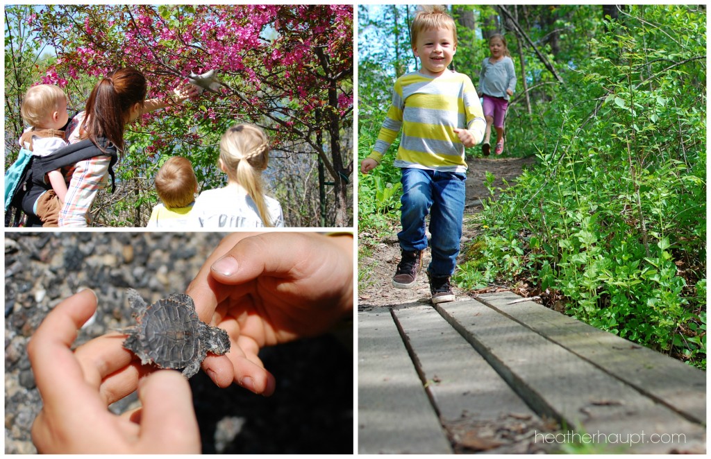 Fresh inspiration for nature walks >> and open-and-walk-out-the-door resource! #NatureWalks