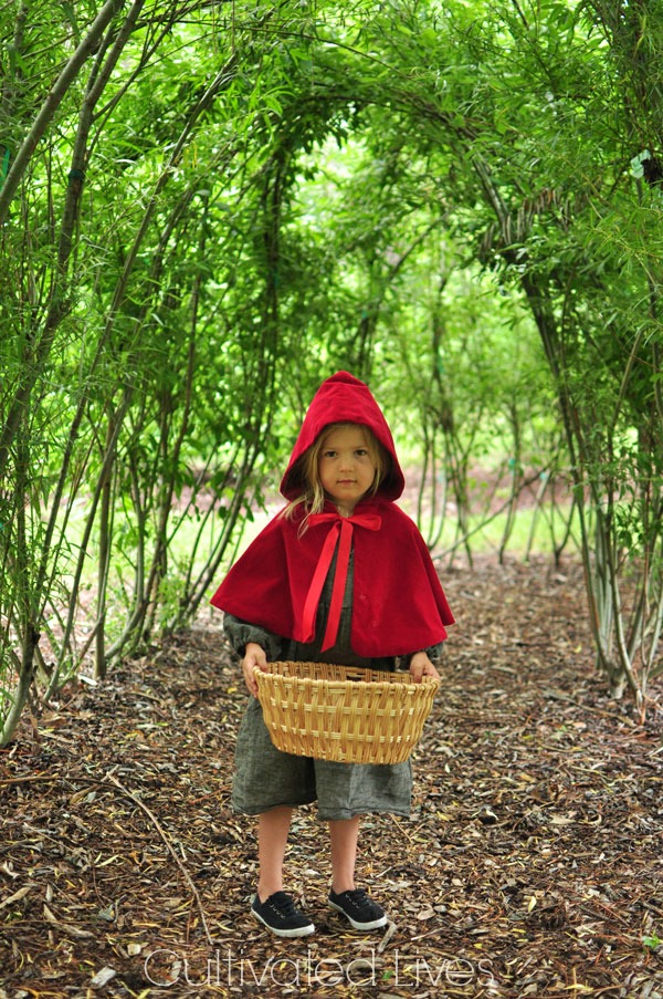 Gift Idea: Sew a Little Red Riding Hood and pair with a beautiful book.