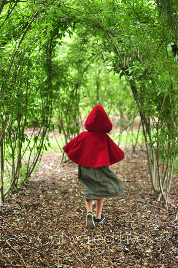Gift Idea: Sew a Little Red Riding Hood and pair with a beautiful book.