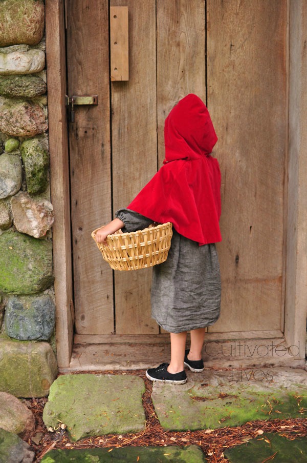 Gift Idea: Sew a Little Red Riding Hood and pair with a beautiful book.