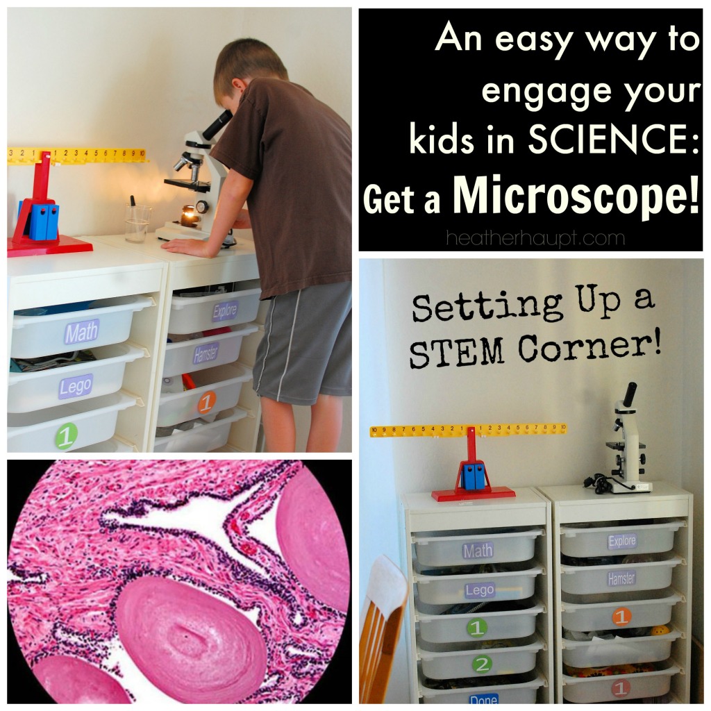 Microscopes makes for a favorite gift that gets played with over and over again.  Play > Explore > Learn