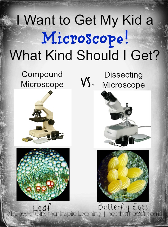 Giving our kids a microscope uncovers the scientist within and encourages exploration and discovery.