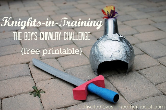 Sneak peek at the new Chivalry Challenge. The book is out in May!